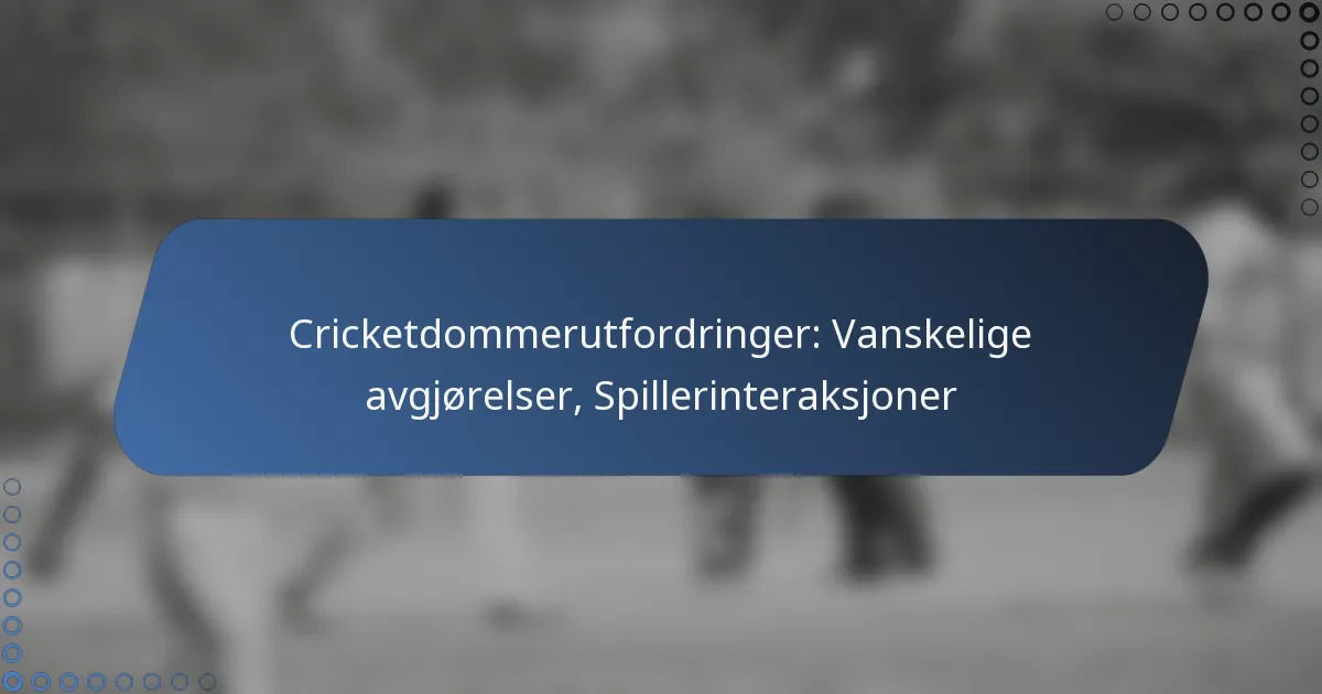 Cricketdommerutfordringer: Vanskelige avgjørelser, Spillerinteraksjoner