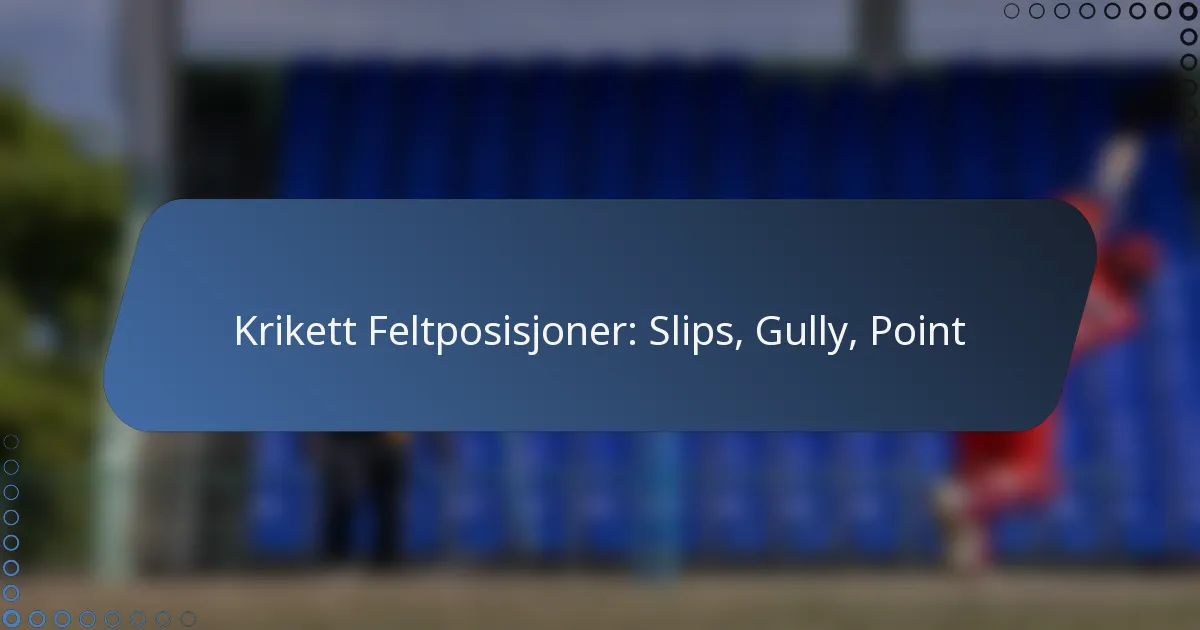 Krikett Feltposisjoner: Slips, Gully, Point
