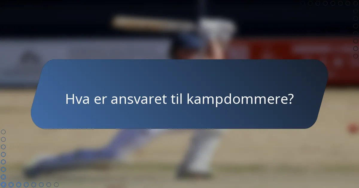 Hva er ansvaret til kampdommere?