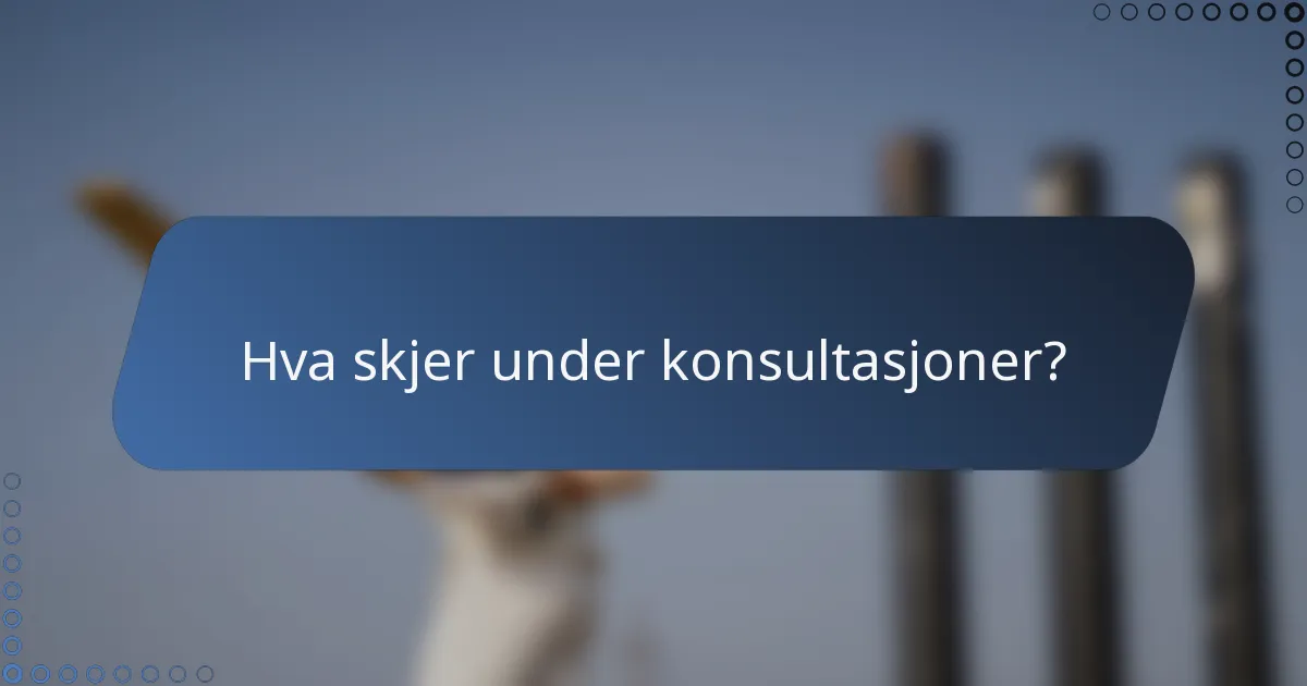 Hva skjer under konsultasjoner?
