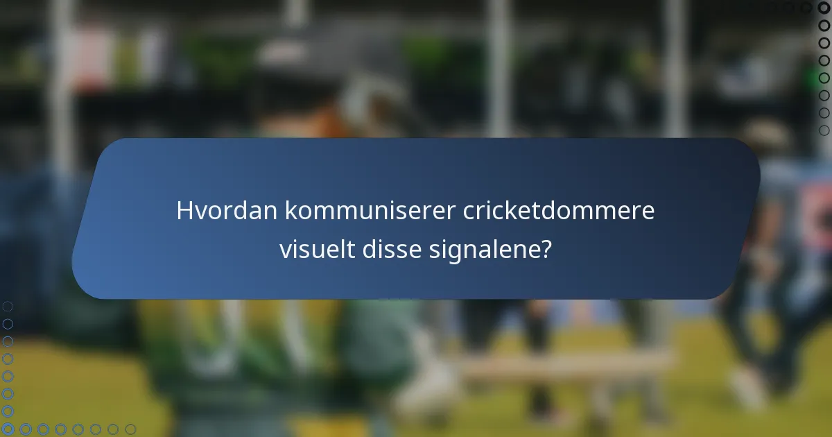 Hvordan kommuniserer cricketdommere visuelt disse signalene?
