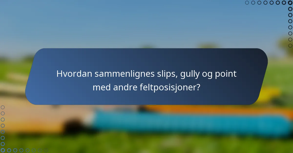 Hvordan sammenlignes slips, gully og point med andre feltposisjoner?